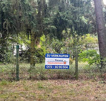 +++ Naturliebhaber aufgepasst +++ Wohnen direkt am Waldrand +++ - Mühlenbecker Land Zühlsdorf