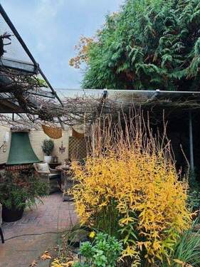 überdachte Terrasse - 