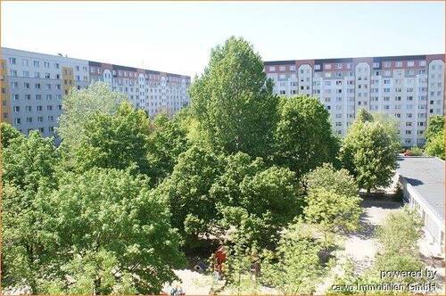 4. parkähnlicher Innenhof - 