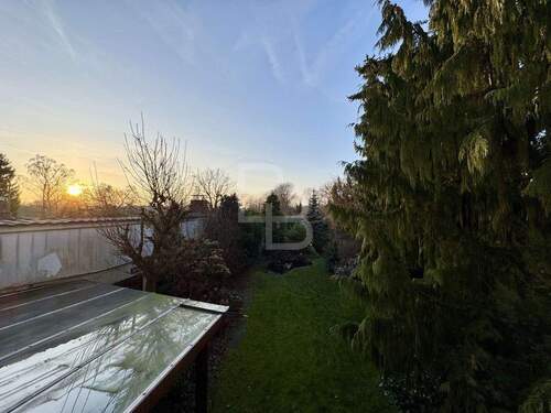 Abende auf dem Balkon - 