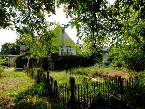 Gartenansicht mit Baumbestand - 