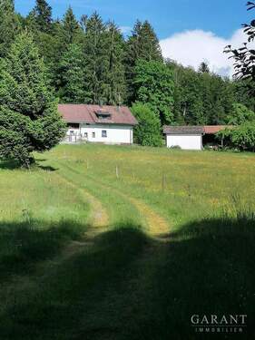 Weg zw. Haus und Weiher - 5 Zimmer Bauernhaus, Landhaus in Hohenau