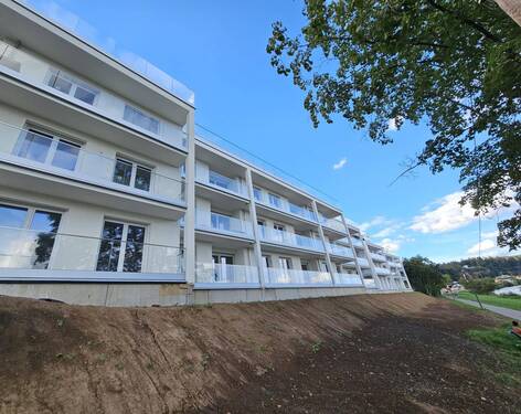 Haus - Erdgeschosswohnung mit Terrasse Martinerfeld 65