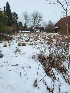 Bild 3 - Grundstück in Langerringen