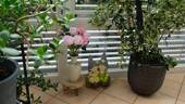 Wintergarten - 