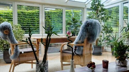 Wintergarten - Kleines Familienglück mit Wintergarten in Grenznähe