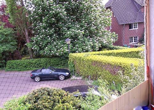 EH 2 - EG links - Ausblick Balkon - 