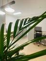 Bild 12 - 