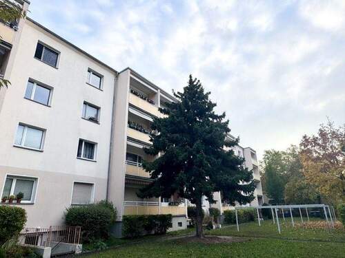Hausansicht Rückseite - 2 Zimmer Etagenwohnung zur Miete in Dresden
