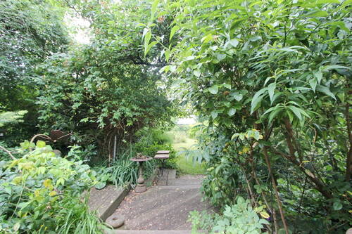 Blick in den hinteren Garten II - 