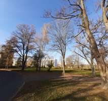 Bild 3 - Grundstück in Riesa