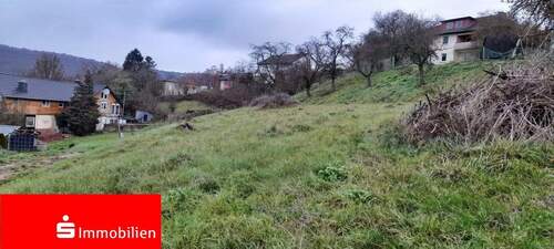 Blick aufs Grundstück - Idyllisch gelegener Bauplatz mit viel Potential in Sontra