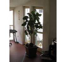 Top Helle Wohnung- Innenstadt--138m² Wohnfläche plus 15m² Dachterrasse. - Schweinfurt Musikerviertel und amerik. Siedlung