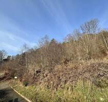 Kaiserslautern - Stadtteil Mölschbach: Schönes Baugrundstück in Ortsrandlage