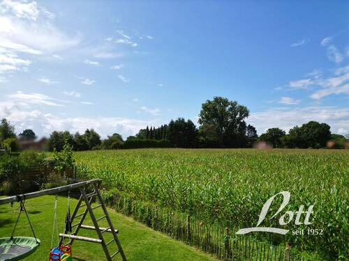 Ausblick auf Wiesen und Felder - 