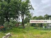 Bild 5.jpg - 