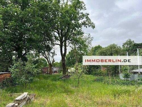 Bild 5.jpg - 