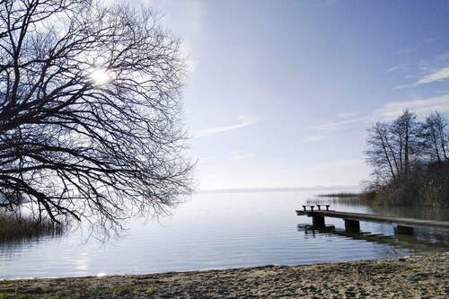 IMG_20250202_130929.jpg - 