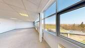 Ausblick - 