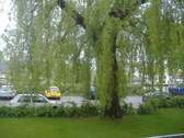 Blick vom Balkon - 