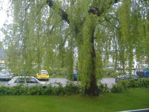 Blick vom Balkon - 