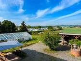 Blick aus dem Haus - nach Südwesten - 
