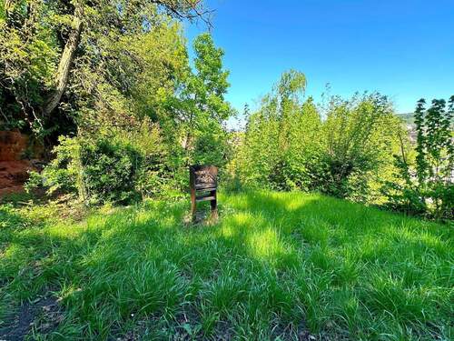 Garten oben - 