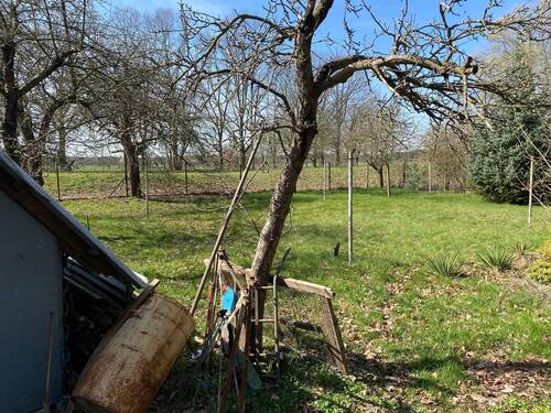 separates Gartengrundstück (2) - 