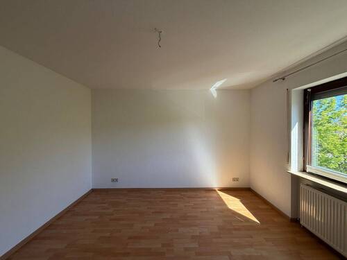 Zimmer - 