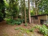 Ansicht Wald - 