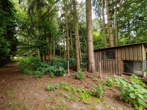 Ansicht Wald - 