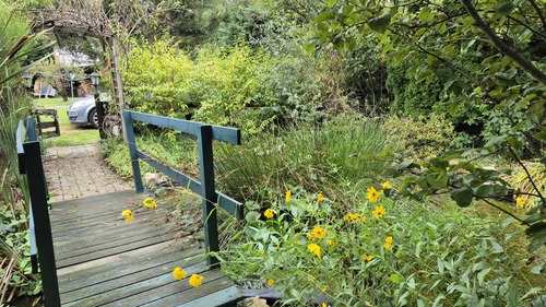 Steg über dem Teich - 