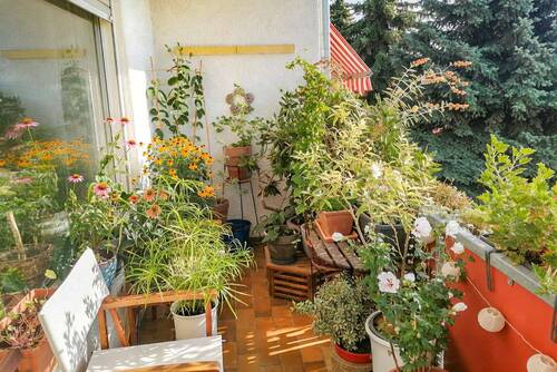 Balkon - 