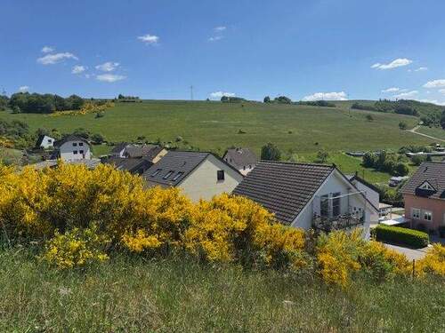 Ausblick - 