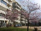 Objektansicht - 2 Zimmer Etagenwohnung zur Miete in Gera