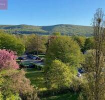 Exklusive Wohnung mit traumhaftem Ausblick - Springe