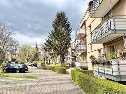 Hinterhof - 
