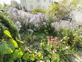 Gartenfläche - 