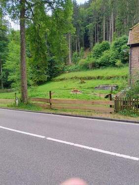 Wiese - 1 Zimmer Mehrfamilienhaus, Wohnhaus in Sattelmühle