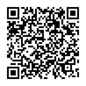 QR-Code - 
