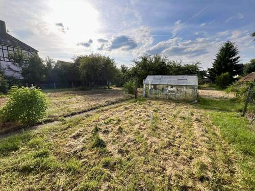 Garten mit Gewächshaus - 