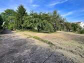 Möglicher Bauplatz mit altem Obstbaumbestand - 