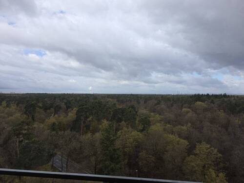 Ausblick - 