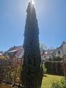 20260425_115532.jpg - Geräumiges Familienhaus mit Terrasse in Nürnberg-Reichelsdorf