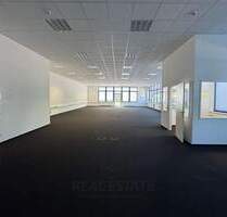 BÜRO - STUDIO - ATELIER IM ERDGESCHOSS IN HAMBURG RAHLSTEDT
