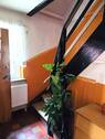 Treppe Flur - Einfamilienhaus mit 93,00 m&sup2; in Bergen zum Kaufen