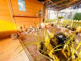 Teich - Terrassenbereich - 