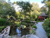 Bild... - 