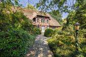 Blick im Vorgarten - 