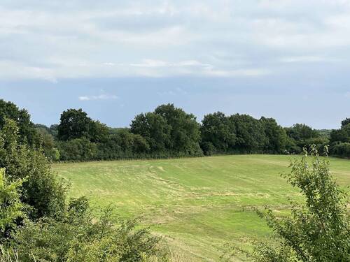 Frei Fläche - Gewerbeobjekt (Büro, Produktion, Verkauf) zur Miete in Badendorf